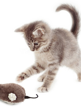 上发条会跑的仿真毛绒小老鼠猫玩具摇尾巴逗猫解闷神器3个包邮