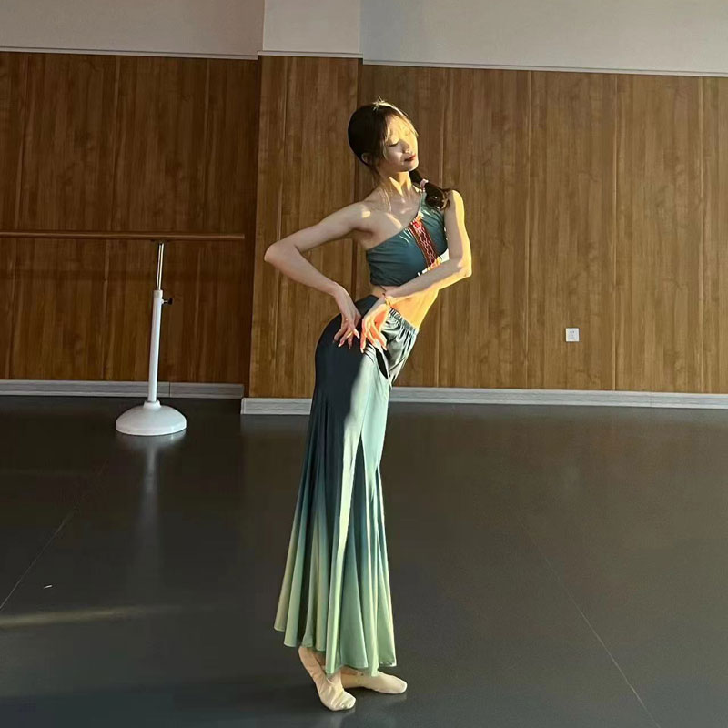 傣族舞蹈演出服艺考服装表演服女傣族孔雀舞蹈裙练功裙鱼尾半身裙