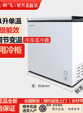 新飞201L家商用冷冻小冷柜一级