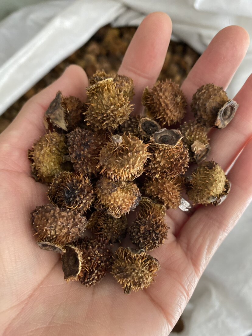 刺梨中药材 新货 500g包邮 贵州正品刺酸梨子 茨梨 木梨子