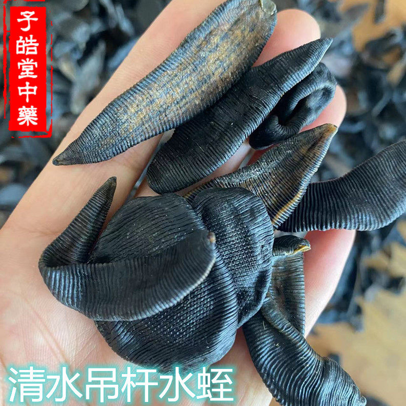 中药材正品特级清水吊杆水蛭  水蛭干  烫水蛭250克包邮