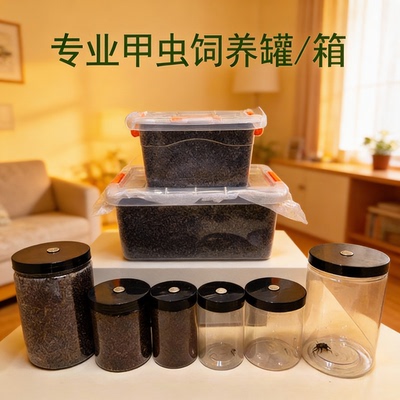 甲虫饲养罐独角仙成虫幼虫饲养盒大兜虫锹甲锹形虫爬宠昆虫饲养盒