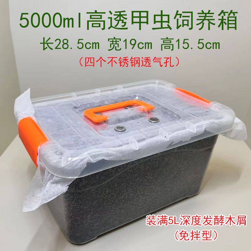 甲虫饲养罐独角仙成虫幼