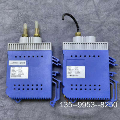 原装正品BORGWALDT宝沃德 DXLdp差压变送器，蓝色，格详谈