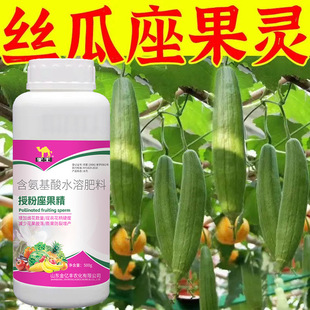 丝瓜授粉药授粉精丝瓜专用授粉坐果精催花授粉保花保果免沾花增产