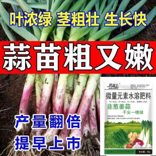 大蒜猛长大蒜专用肥防干尖软腐病疫病病毒病白粉病锈病大蒜病全治