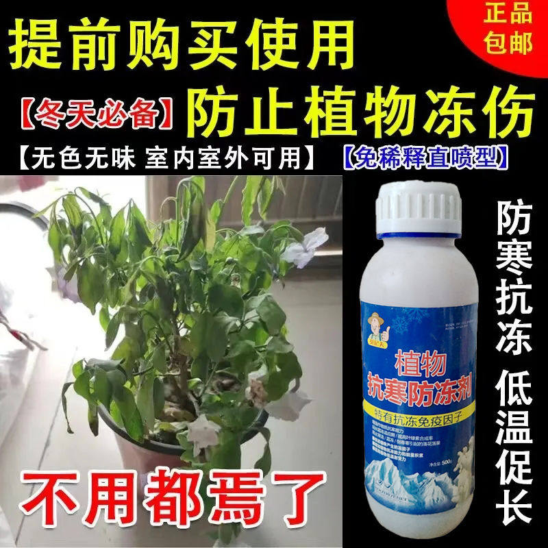 花卉防冻剂植物防冻液免稀释营养无机肥