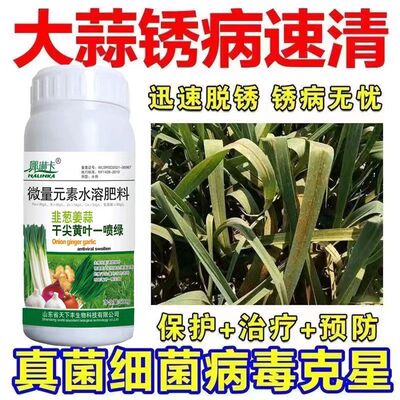 大蒜专用药杀菌剂大蒜病全治大蒜专用药根腐病叶枯菌核病干尖黄叶