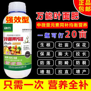 进口配方硼锌铁钙镁微量元素天然有机糖醇鳌合草莓果树葡萄叶面肥