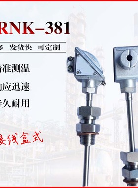 WREK-381铠装热电偶小接线盒PT100/E型温度传感器液体气体固体