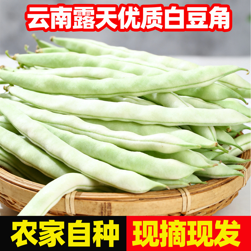 新鲜白豆角云南白大架农家蔬菜