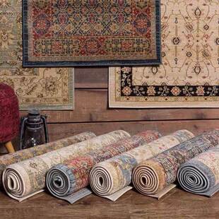 Vintage Living Carpet Mat Bedroom Floor Rug Area Indoor Room