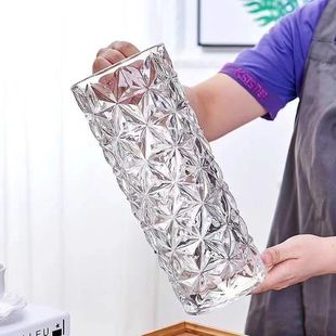 花瓶摆件客厅插花轻奢高级感透明玻璃水养水培绿植富贵竹专用网红