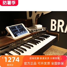 Аудио интерфейс tascam ixr 音频接口 声卡