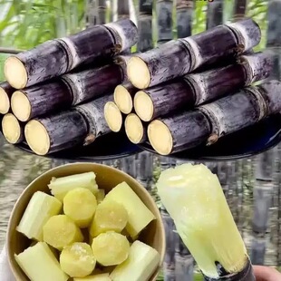 新鲜黑皮甘蔗现砍现发散装甘蔗节节甜