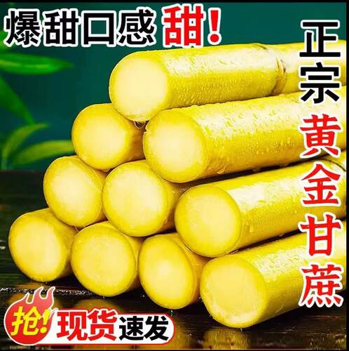 新鲜黄金甘蔗现砍现发散装甜