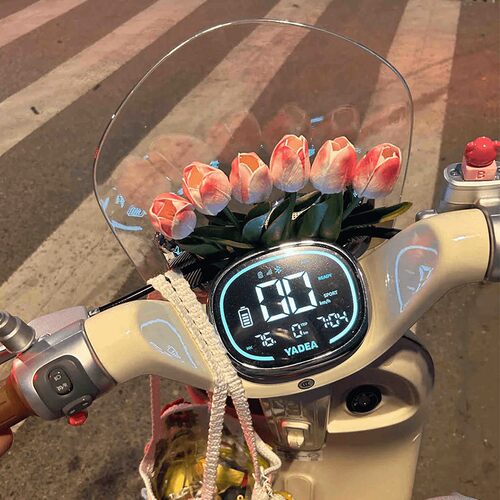雅迪Q50车载摆件自行车头
