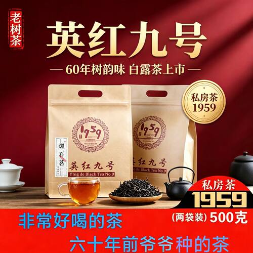 正宗英德一级浓香茶英红九号250g