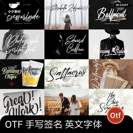 手写签名英文字体花体高级感艺术procreate/ps素材婚礼素材包下载