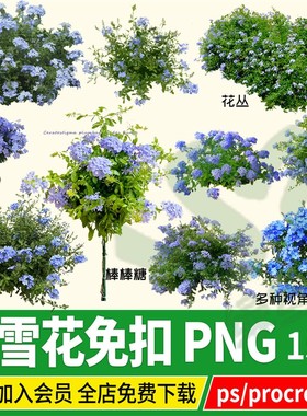 png蓝雪花棒棒糖夏季开花蓝色花卉PSD免扣PS素材procreate资料库