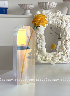 COG  亚克力花瓶炫彩透明ins水养插花摆件装饰