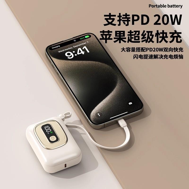 充电100002253CW自带可宝