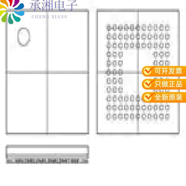 正品ZL38004GGG2原装IC VOICE PROCESSOR 96FBGA