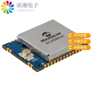 LONG RANGE LORA 全新WLR089U0 863 RM正品 MODULE 928