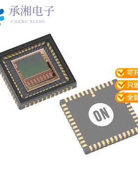 全新NOIP1FN0300A-QTI正品IC IMAGE SENSOR 0.3MP 48LCC