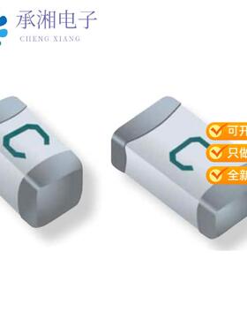 正品SF-1206SA250M-2原装1206 SLOW-BLOW MULTILAYER 2