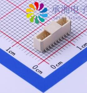 正品X1002WVS-10E-LPSWHF原装10P 间距1.0mm 立式贴片