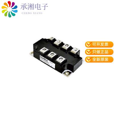 全新DFA200CB160正品DIODE MODULE 1600V 200A