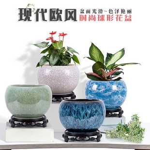 花盆陶瓷特大号清仓带托盘家用带底座简约创意桌面绿萝蝴蝶兰植物