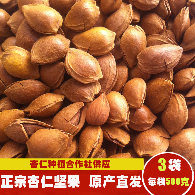 新货开口杏核小白坚果散装