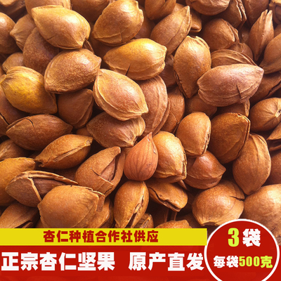 新货开口杏核小白坚果散装