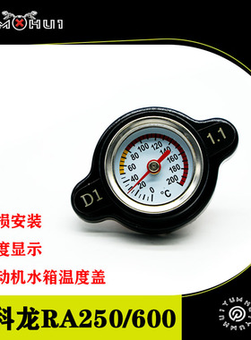 赛科龙RA250摩托车改装水箱温度表RA600传感器水温表仪表显示专用