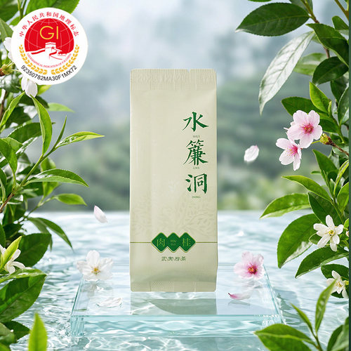 武夷山水帘洞正岩肉桂50g