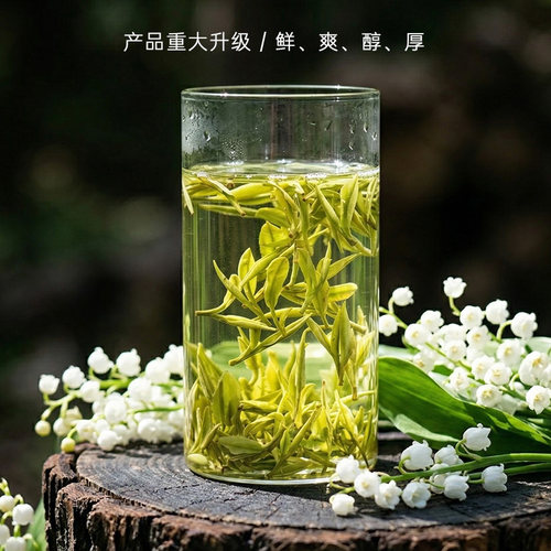 2026明前金坛白茶花香鲜爽醇厚