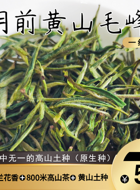 2025蜜兰香黄山毛峰 明前一级700米高山土种春茶 散装50g