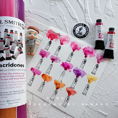 Ds大师级水彩ds酊酮14色套装热门红色系自选色水彩颜料分装