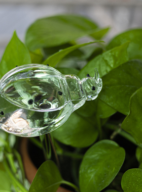 创意透明玻璃懒人浇花器渗水滴灌家用绿植盆栽装饰自动园艺小工具