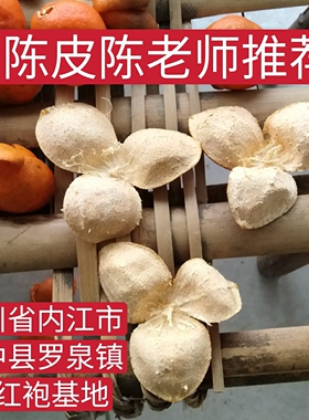 正宗内江汉皮四川陈皮川红桔橘资中罗泉镇铁佛镇老古树陈老师推荐