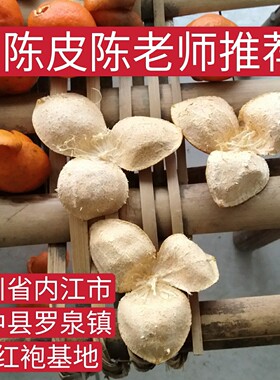 正宗江汉四川陈皮桔橘资中罗泉