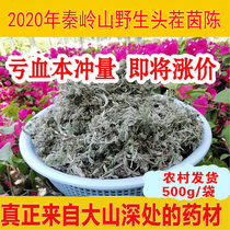 In 2020, new products of Yinchen wild Yinchen March Yinchen grass, white pole Yinchen tea 500g dry Yinchen