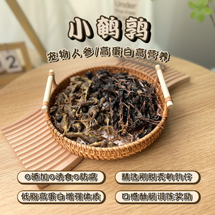 冻干鹌鹑狗狗零食小鸡仔洁齿增肥发腮生骨肉幼犬宠物幼猫营养零食