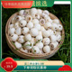 包邮 莲子干货 去芯湘潭无芯白莲农家自产干货去芯磨皮白莲子500g