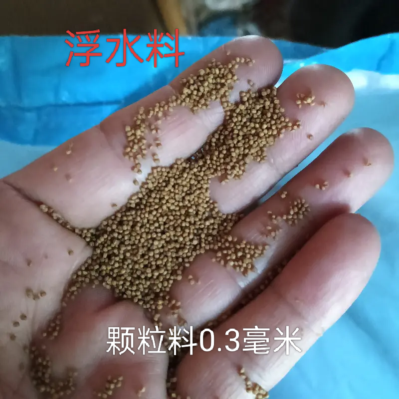 鱼饲料中国斗鱼泰国斗魚金魚淡水偏肉食性观賞鱼娄高蛋白配合饲料