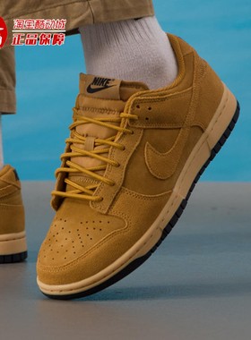 Nike耐克2025冬季Dunk Low男子轻便缓震低帮运动鞋板鞋IB6651-700