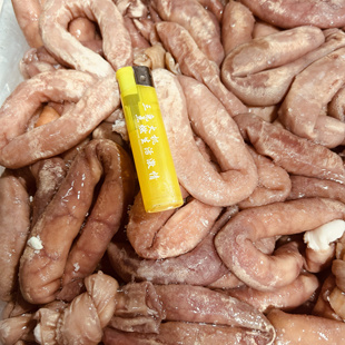 飞悦福生大号冒节子肥肠火锅串串肥肠粉专用冒节子商用半成品食材