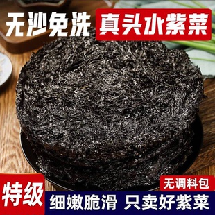 特级无沙霞浦幼嫩头水紫菜500g蛋花汤虾皮免洗无盐无油紫菜干货